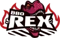 大阪でレンタルバーベキューならBBQ REX